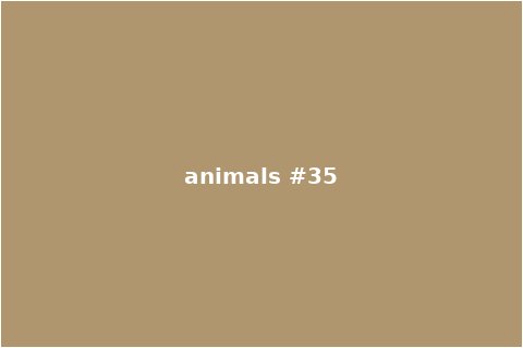 Animals Scene 35