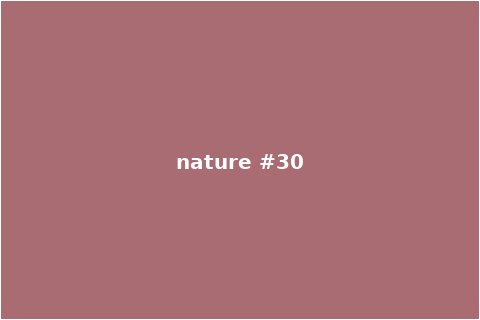 Nature Scene 30